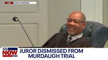 Murdaugh Murder Trial: Juror removed from case, won