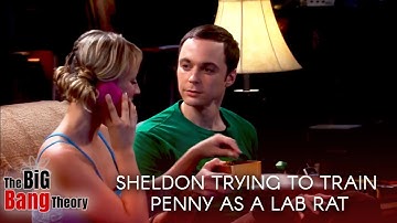 Sheldon trying to train Penny as a lab rat | The big bang theory