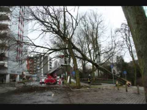 Feuerwehr Groß Mackenstedt beseitigt umgestürzten Baum
