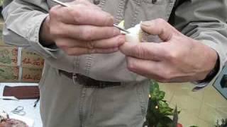 雕刻蟹爪水仙花