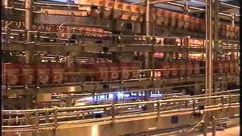 Alpine Conveyor System