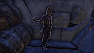Elder Scrolls Online | Снято с помощью GeForce GTX Elder Scrolls Online | Снято с помощью GeForce GTX