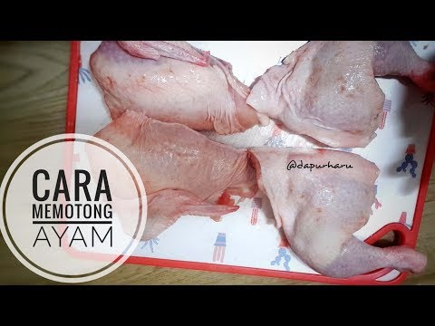 Video: Cara Membuat 14 Masakan Dengan 4 Ayam Dan 1 Potong Daging Babi