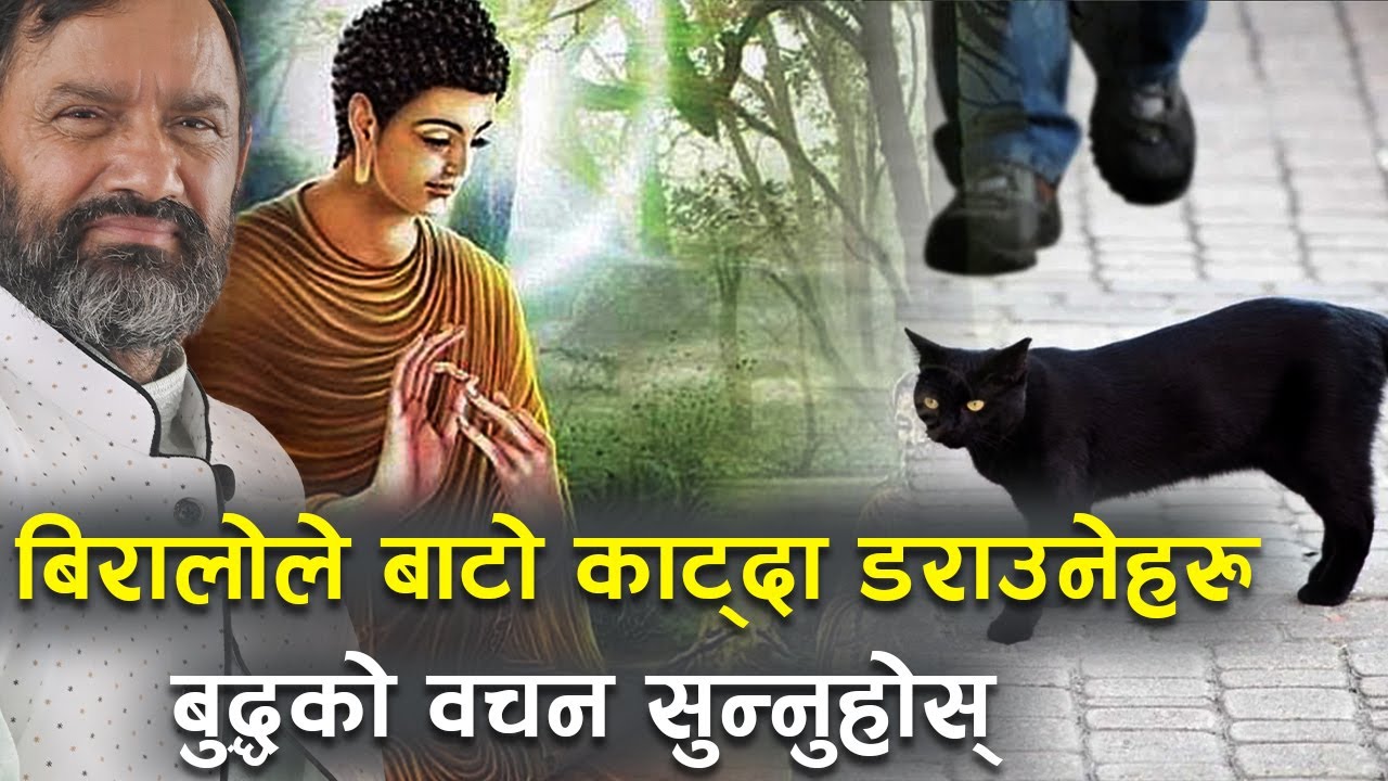 How to Get Rid of Superstitions | Buddha Story | Dr.Yogi Vikashananda | Manokranti | 2022