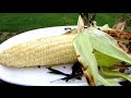 Grilled Corn on the Cob