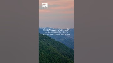 آية الكرسي بصوت سعد الغامدي | تلاوة تشرح الصدر وتحفظك من كل شر 🌙