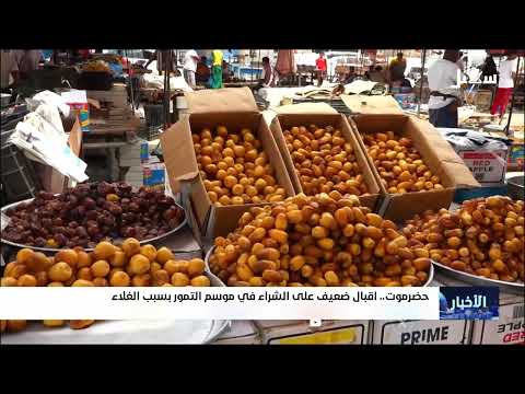 ارتفاع أسعار التمور في حضرموت يثير قلق المزارعين والمستهلكين