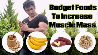 Watch this video to learn about some basic foods one can buy which are
affordable the pocket and help in increasing muscle size ! you
purchase p...