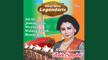 Setyo Tuhu