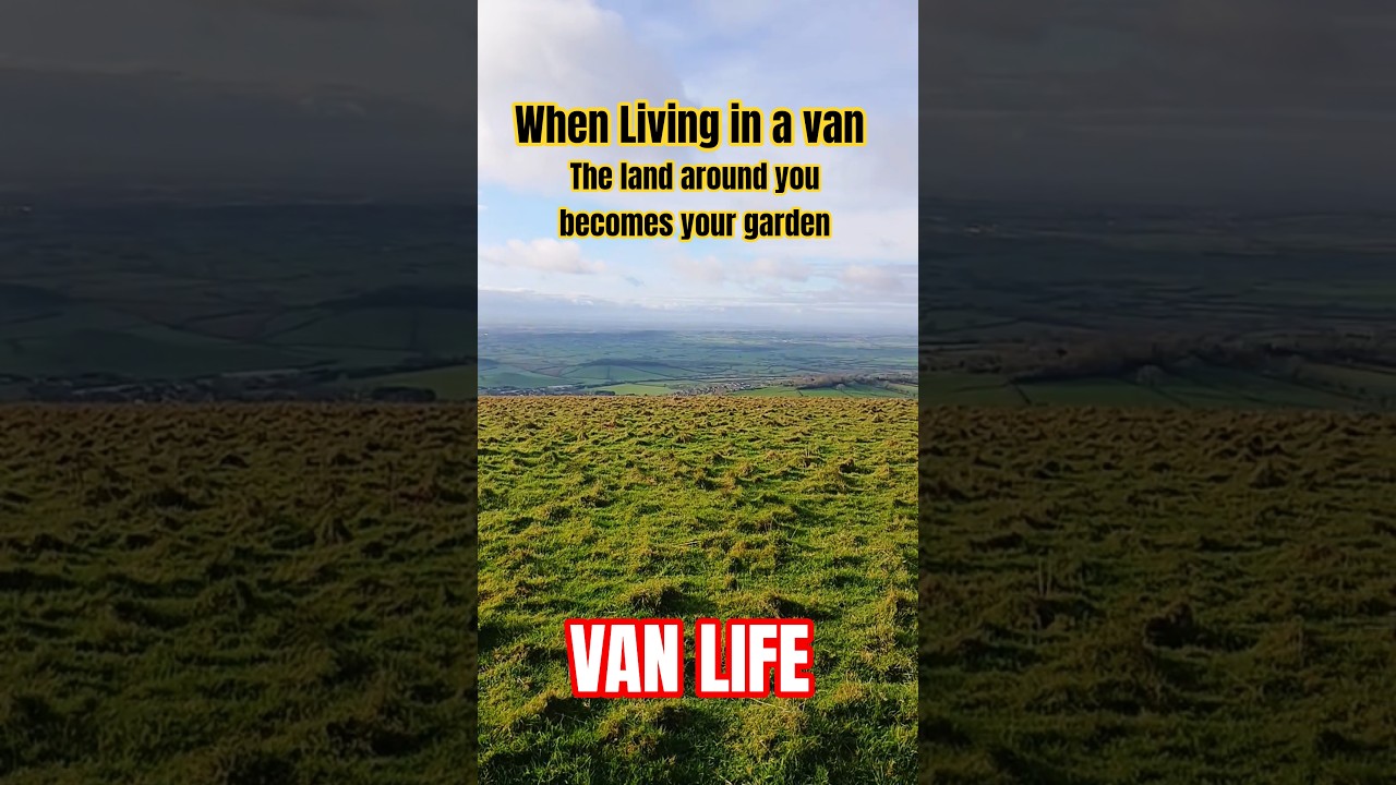 van life goals .This was my home for the day 