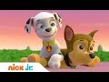 Щенячий патруль | Света нет! | Nick Jr. Россия