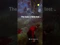 #deadbydaylight #deadbydaylightsurvivor #deadbydaylightfunnymoments #dbd #dbdshorts #horror #gaming
