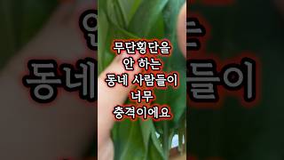 무단횡단을 하는 사람이 한 명도 없었던 이유