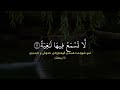 سورة الغاشية احمد خضر Surah Al Ghashyah Ahmad Khdr سورة الغاشية احمد خضر Surah Al Ghashyah Ahmad Khdr