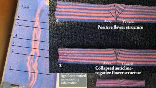 Strike-slip deformation with erosion and cross sections
