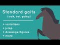 Every Gait of a Horse, Animated