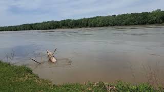 Hiking to the Wabash River: Harmonie State Park, Trail #4 et. al., in Southwest Indiana