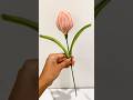 Pipecleaner tulip🌷#pipecleaner#pipecleanerflower#diy#trending#fyp