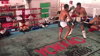 When Saenchai wants exercise by Muaythai 💪