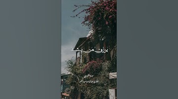 الله لطيف بعباده #عبد_الباسط_عبد_الصمد #تلاوة_نادرة_لاول_مرة #قران_كريم #المنشاوي #تلاوة_خاشعة