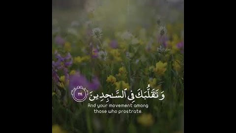 تلاوة هادئة تريح الأعصاب 😴🎧 | القاريء إسلام صبحي - سورة الشعراء 🤍🌥️."