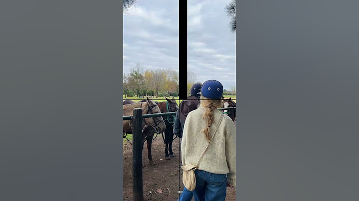 🔥🏇 Ready to Ride? | Argentina Polo Day