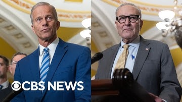 Watch: Thune and Schumer speak about government shutdown on Day 16