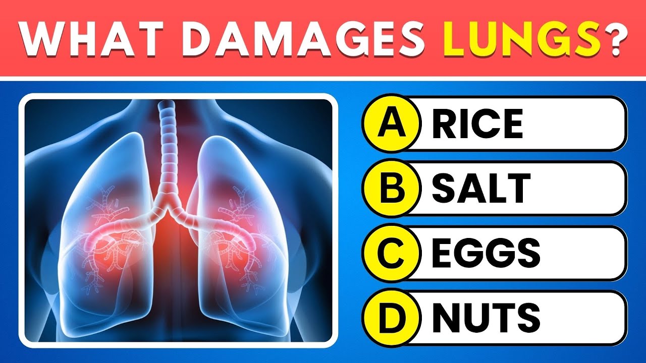 Can You Pass This Human Body Quiz? 🧠 Try This 50-Question Anatomy ...