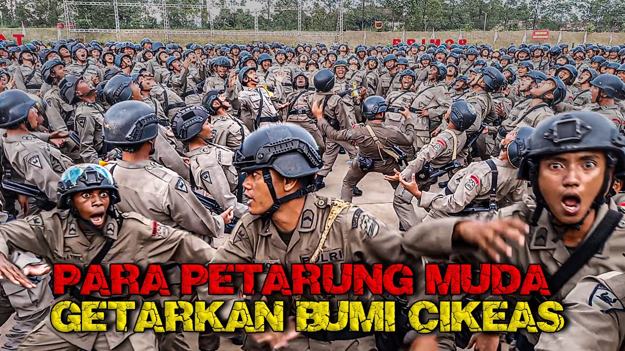 MENGGETARKAN BUMI CIKEAS 🔥|| PARA PETARUNG MUDA KORPS BRIMOB POLRI