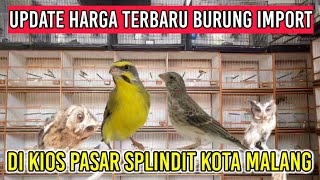 Update Harga Burung Import di Kios Pasar Splindit Malang #sanger #mozambik #kenarigacor