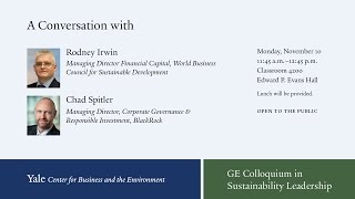 Rodney Irwin, WBCSD