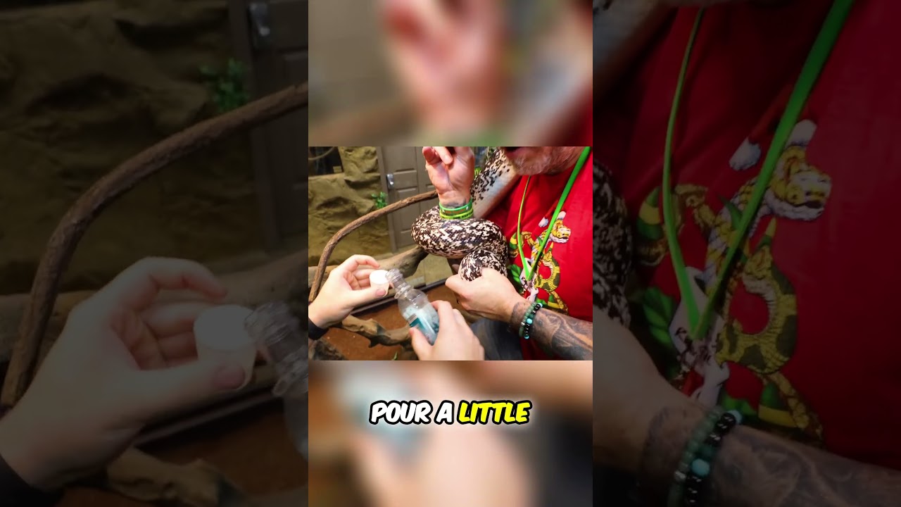 Thanksgiving Pet Feast! Their CRAZY Holiday Meal!!