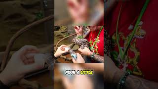 Thanksgiving Pet Feast! Their CRAZY Holiday Meal!!
Have you subscribed? Linktree: https://linktr.ee/brianbarczyk
Become A YouTube Member & Get Your Custom Badge: https://www.youtube.com/channel/UC4zS1wbO81p59CxKL7CQAcA/join
Learn ways you can honor Brians Legacy: https://thereptarium.com/pages/brianbarczyk
About Brian Barczyk:
Brian Barczyk was a passionate wildlife enthusiast and vlogger who dedicated his life to sharing his extraordinary journey with animals on YouTube since May 10, 2016. His remarkable adventures led him to be part of TV network series, produce “Brian In The Wild” a documentary in South Africa, travel globally to encounter incredible animals and their advocates, initiate “Checking In” a podcast, establish “AnimalConUSA” a convention for animal content creators and their fans, and create The Reptarium - an interactive reptile zoo in Utica, Michigan, among many many other achievements.
In March 2023, Brian faced the greatest challenge of his life with a diagnosis of inoperable Pancreatic Cancer. His strength, courage, and the unyielding support of the incredible #ReptileArmy community inspired him to continue sharing his story and pursuing his dreams, even in the toughest times.
Brians vision for the LegaSea Aquarium & The Reptarium, a symbol of resilience and the power of dreams, is now a legacy that his crew and family are devoted to bringing to life in his honor. As we break ground on this expanded facility just across the street from The Reptarium, we embrace this mission as a testament to Brians indomitable spirit.
Join Brians crew, family, and the #ReptileArmy in continuing this inspiring journey of discovery, conservation, and hope. As we vlog the LegaSea aquarium build, embark on adventures around the world, and deepen our connection with wildlife, we pay tribute to Brians legacy. Together, we will forge a future where every encounter with the natural world is a moment to inspire, educate, and celebrate the extraordinary tapestry of life that Brian so loved.
#brianstrong Thanksgiving Pet Feast! Their CRAZY Holiday Meal!!