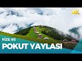 Pokut Yaylası & Sal Yaylası Turu | Çamlıhemşin, Rize