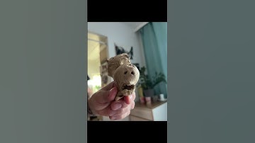 Seeing Faces in Everyday Objects - Part 96 #pareidolia #shorts #illusion