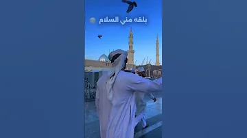 يالي رايح للحبيب المنشد احمد حسن الاقصري 