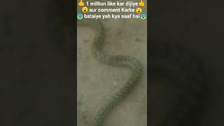 #1 million like kar dijiye aur comment Karke bataiye yah kya saaf hai😨😨😨😨😨😮😮😮😮😮😨😨😨😨🥶🥶🥶