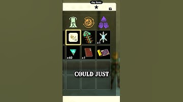 TOTK has a PAY-TO-WIN Duplication Glitch