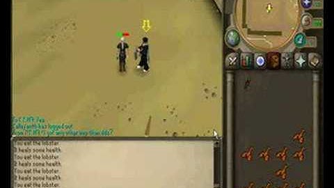 Runescape K K N9 testing max hit