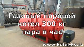 Газовый паровой котел 300 кг пара в час