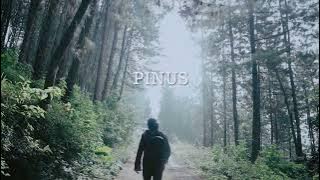 HUTAN PINUS | Cinematic Travel Video | Sony A6000