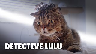 Detective LuLu | Kittisaurus Villains