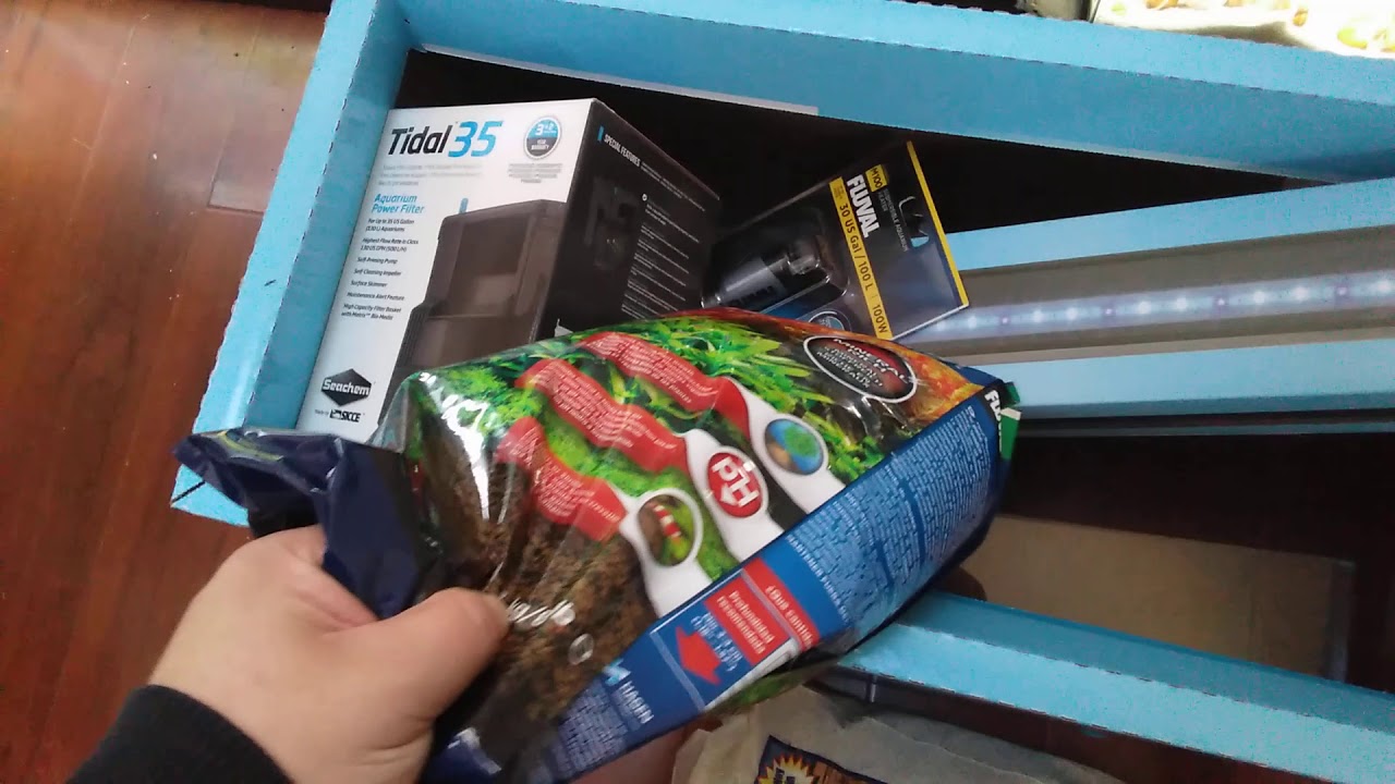 Fish addiction - YouTube