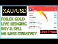 • Forex Gold Live Trading Strategy | XAUUSD Hedging Strategies Live Profit 2022