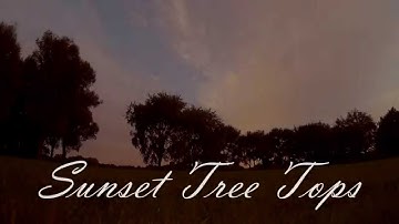 Immersionrc Vortex FPV Racing - Sunset Tree Tops