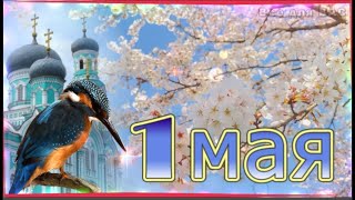 Поздравления с 1 мая! С Праздником Весны и Труда, с 1 Мая! [Музыкальная открытка]