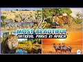 25 Most Beautiful National Parks in Africa