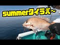 summerタイラバ～　和栄丸