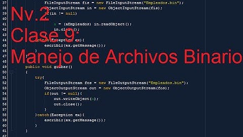 Tutoriales Java - Nv.2 - Metodologia de Programacion - Clase 9: Manejo de Archivos Binarios