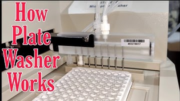 Microplate Washer _ How Plate washer works _ Microplate Washer Elisa Rayto